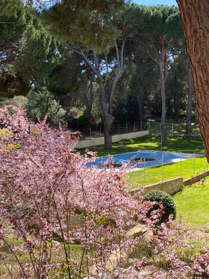 Apt Romantico Con Chimenea Con Fibra Optica Y Terraza San Martín de Valdeiglesias Екстериор снимка