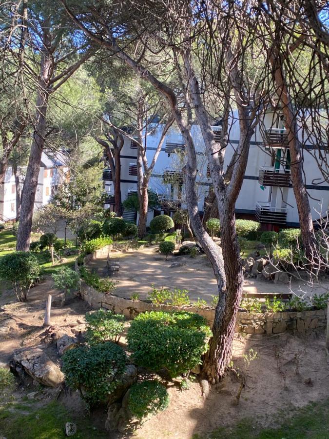 Apt Romantico Con Chimenea Con Fibra Optica Y Terraza San Martín de Valdeiglesias Екстериор снимка